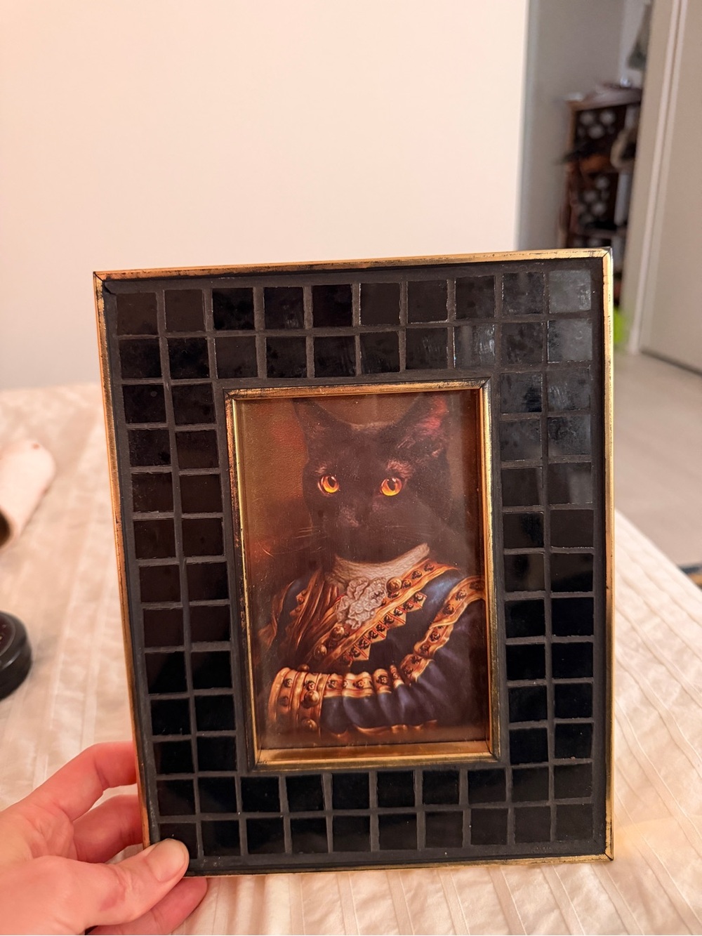 Cat Portrait